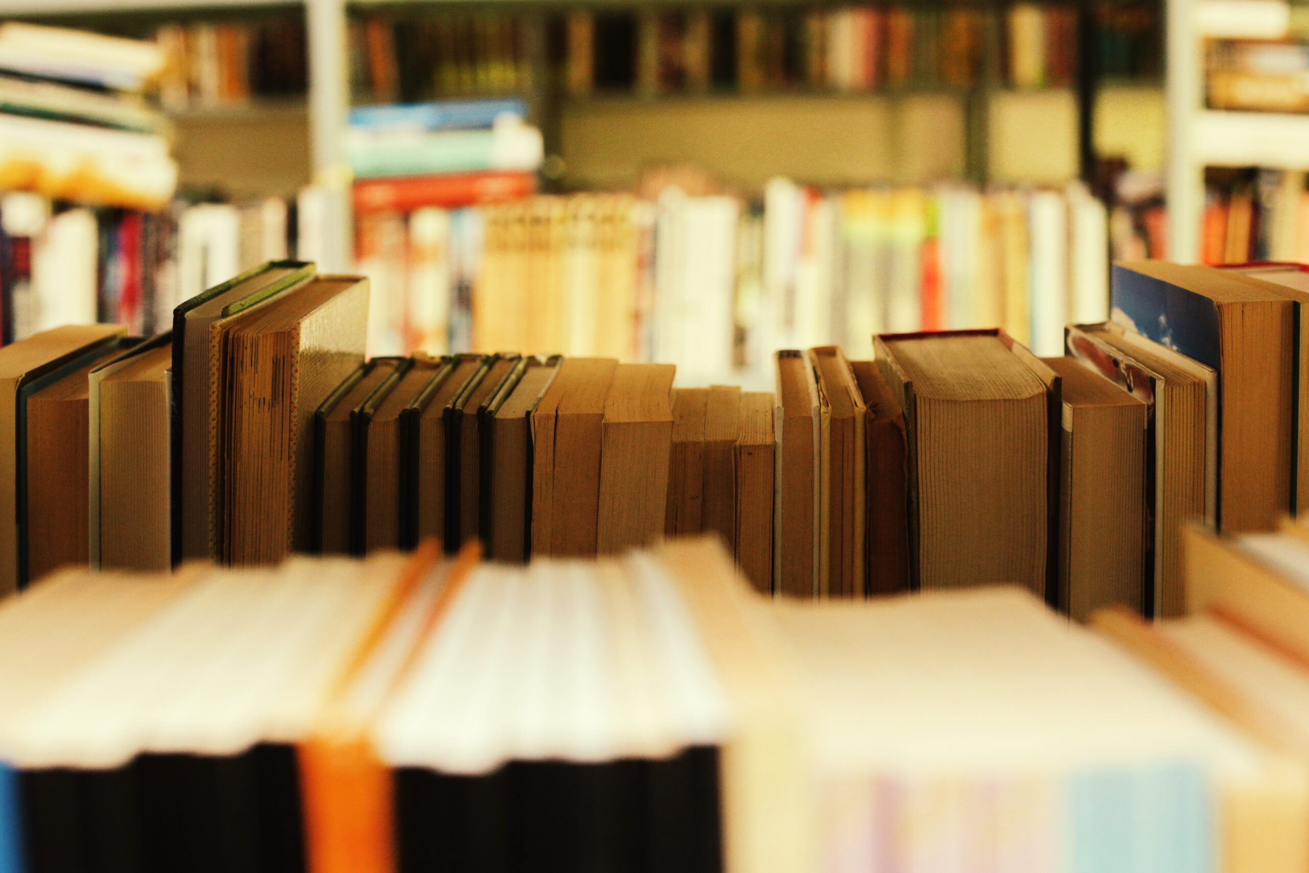 Valletta's Literary Revival The Resilient Charm of the Independent Bookseller